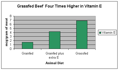 Grassfed beef four times higher in vitamin E