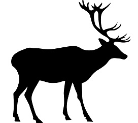 elk.jpg