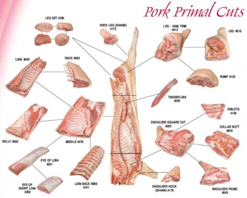 pork-cuts21.jpg