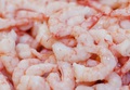 Hand Peeled Shrimp