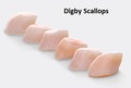 Ocean Wise Seafood - Digby Bay Scallops - $17.99lb DEPOSIT