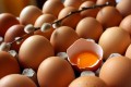 Eggs - Grass Fed Organic - Farm Fresh - Large - 1 dozen - $7