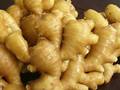 Certified Organic Fresh Young Ginger - $16.99lb