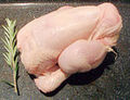 Free Range - Cornish Game Hen - $6.99lb - 1.8-2.2lbs weight DEPOSIT - $14
