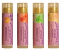 Works Wonder Honey Lip Balm 4.8 ml tube - $3.29