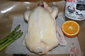 Certified Organic Pastured Whole Duck - DEPOSIT $35